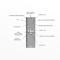 SDK Wireless (787751)